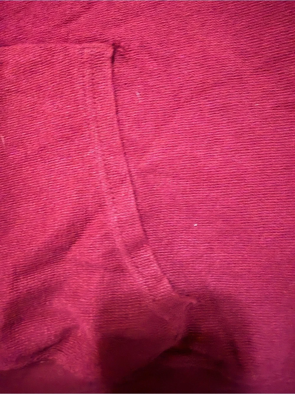 True Religion Berry Graphic Pullover Hoodie